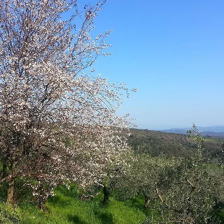 La Casa Di Zefiro Bed & Breakfast 2*