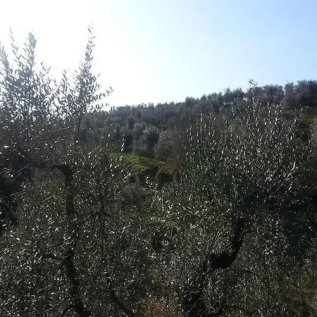 La Casa Di Zefiro Limite